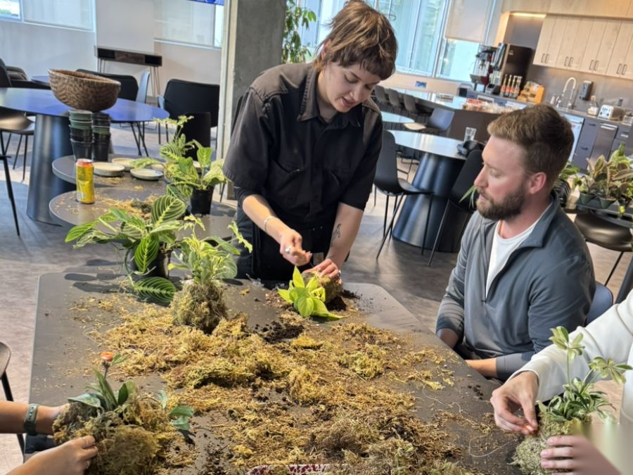 Guests making moss-ball kokedama plants