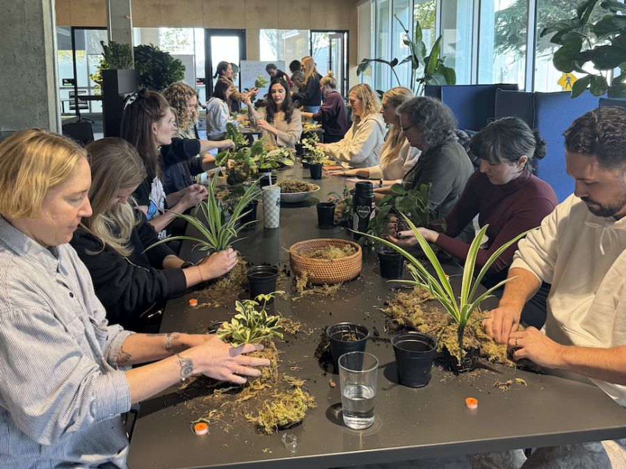 Team plant-potting workshop around a long table
